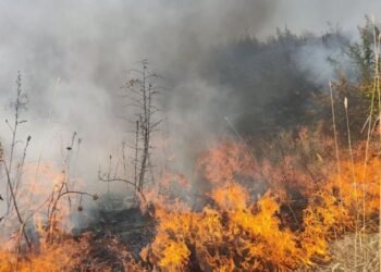 Kəlbəcərdəki yanğın Laçına keçdi – VİDEO