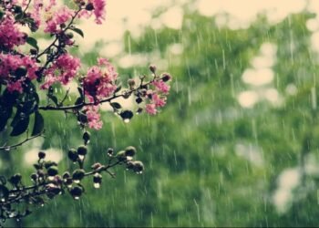 Hava şəraiti ilə bağlı xəbərdarlıq edildi