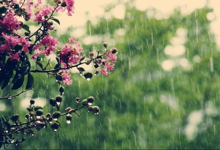 Hava şəraiti ilə bağlı xəbərdarlıq edildi