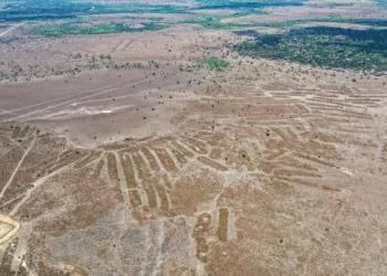 ​​​Gizlənmiş təbiət xəzinəsi: “itirilmiş dünya” yenidən kəşf edildi