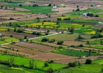 Ötən ay Bakıda torpaq qiymətləri nə qədər artıb? – CƏDVƏL