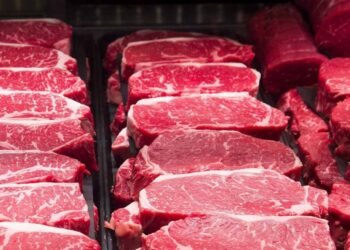 Azərbaycan Kanadadan mal əti tədarük etməyə BAŞLADI