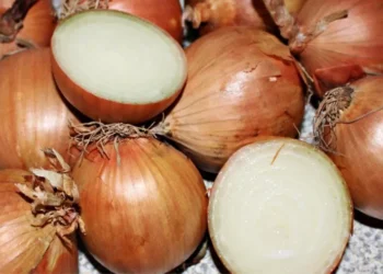 Soğan yalnız bakteriyaları məhv etmir, həm də arıqladır