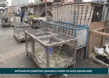 Sabunçu bazarında YOXLAMA: bu nöqsanlar tapıldı – VİDEO