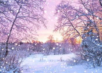 Bəzi yerlərdə qarın hündürlüyü 3 sm-ə çatıb – FAKTİKİ HAVA