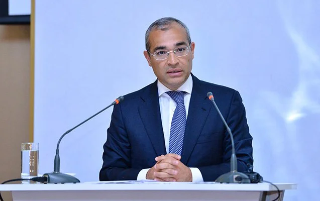 Mikayıl Cabbarov: “B﻿ƏƏ şirkətləri ölkə üçün strateji tərəfdaş və aparıcı investor qismində çıxış edirlər”