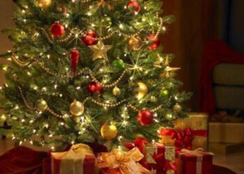 Yeni İl şam ağacları xəstəlik yayır? – XƏBƏRDARLIQ