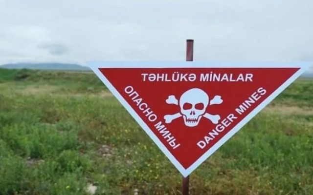 Ötən həftə 997 ha ərazi minalardan təmizlənib